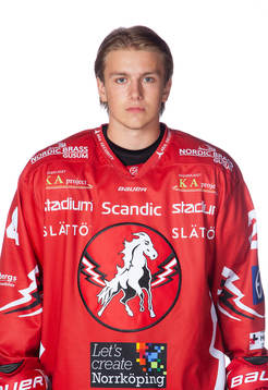 Vita Hästens Axel Levander