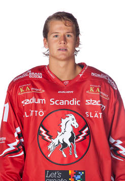 Vita Hästens Erik Borg