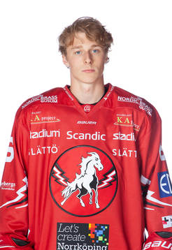Vita Hästens Felix Broden