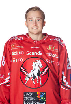 Vita Hästens Wilhelm Westlund