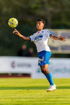 Värnamos Sameege Doutie