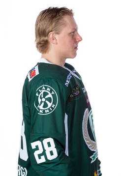 Bläddra bland fler bilder av Ishockey, SHL, Porträtt och Lagbild, Färjestad