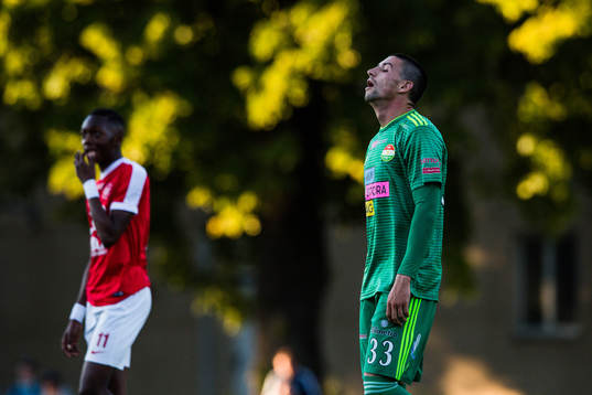 Dalkurds Irfan Jasarevic deppar