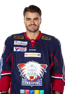 Linköpings Almen Bibic