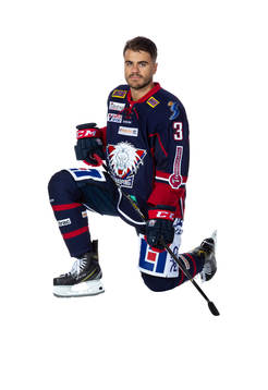 Linköpings Almen Bibic