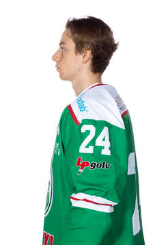 Rögles Balint Horvath