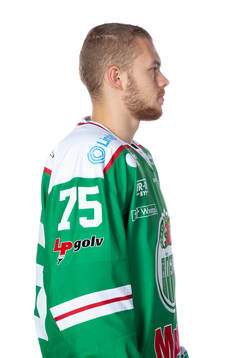 Rögles Lucas Elvenes