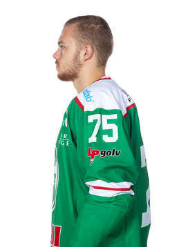Rögles Lucas Elvenes