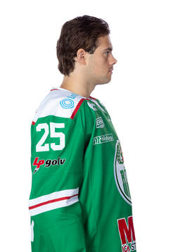 Rögles Ludvig Elvenes