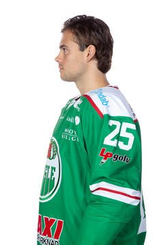 Rögles Ludvig Elvenes