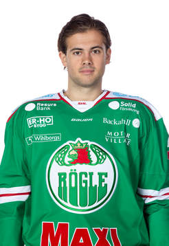 Rögles Ludvig Elvenes