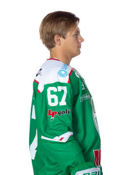 Rögles Leon Bristedt
