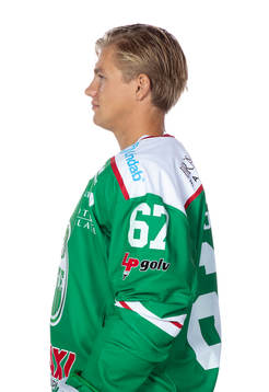 Rögles Leon Bristedt