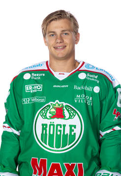 Rögles Leon Bristedt