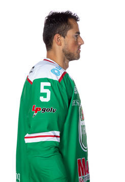 Rögles Alen Bibic