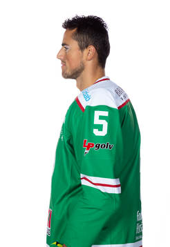 Rögles Alen Bibic