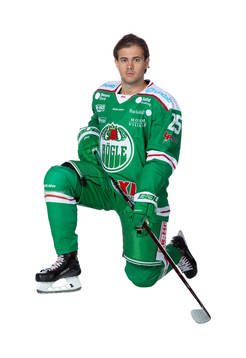 Rögles Ludvig Elvenes