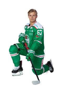 Rögles Leon Bristedt