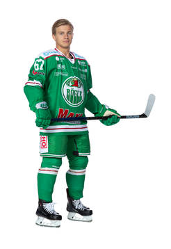 Rögles Leon Bristedt