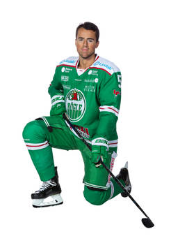 Rögles Alen Bibic