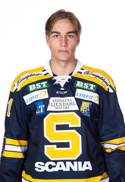 s Henrik Malmström