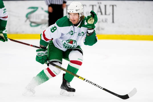 Rögles Erik Andersson