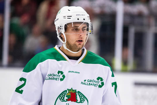 Rögles Daniel Zaar deppar