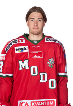 Bläddra bland fler bilder av Ishockey, Hockeyallsvenskan, Portrtätt, Modo
