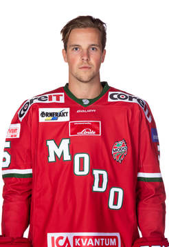 Modos Sebastian Walfridsson