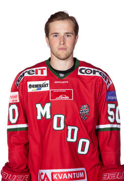 Modos Tim Wahlgren