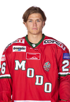 Modos Tom Hedberg