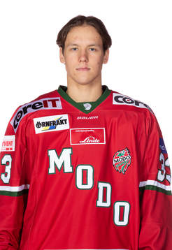 Modos Victor Berglund