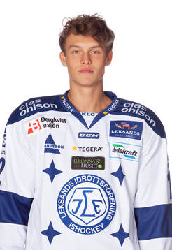 Leksands Wilde Bröms