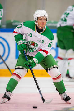Rögles Leon Bristedt