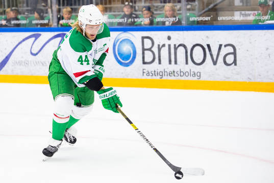 Rögles Olle Liss