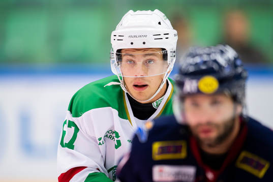 Rögles Leon Bristedt