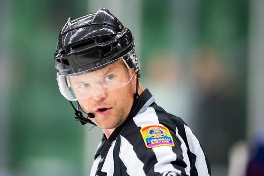 Domare Ludvig Lundgren