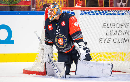 Goalkeeper Viktor Fasth of Växjö