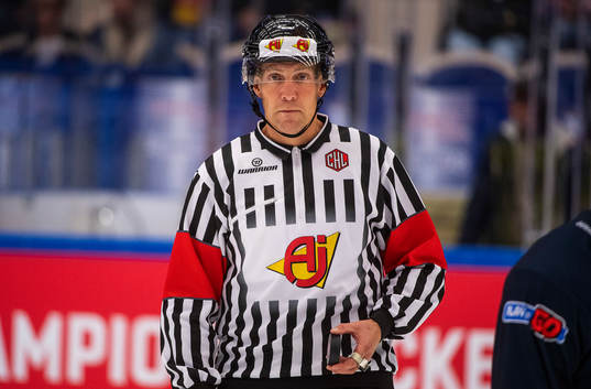 Referee Morgan Johansson