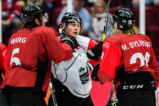 Stefan Warg and Marcus Sylvegård of Malmö Redhawks in a