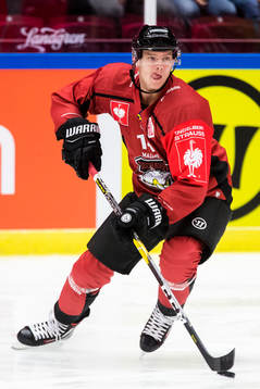 Carl-Johan Lerby of Malmö Redhawks