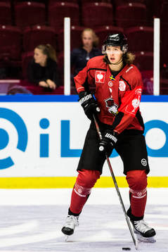 Malte Setkov of Malmö Redhawks