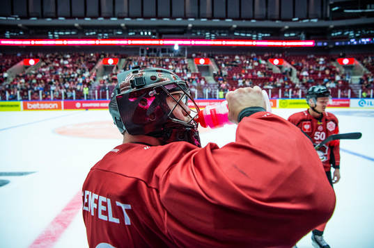 Konstantin Komarek of Malmö Redhawks