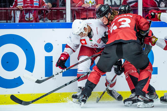 Malte Setkov and Fredrik Händemark of Malmö Redhawks and