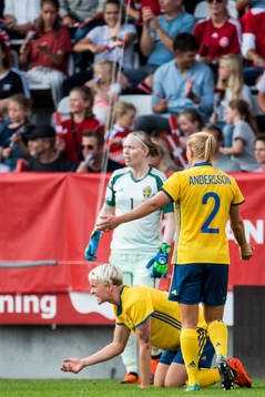 Sveriges Nilla Fischer reagerar mot domaren