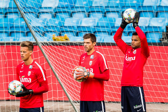 Goalkeeper Ørjan Håskjold Nyland, goalkeeper Rune