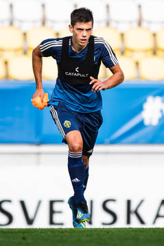 Dennis Hadzikadunic