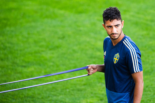 Daleho Irandust