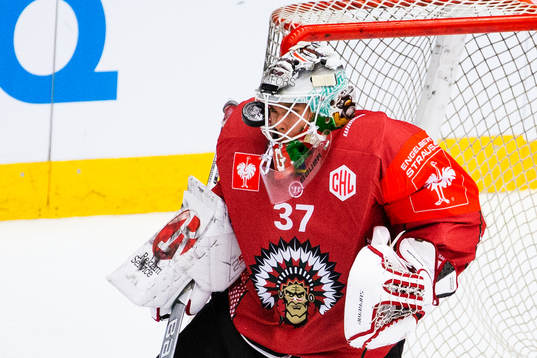 Bläddra bland fler bilder av Ice Hockey, CHL, Frölunda - Zürich Lions
