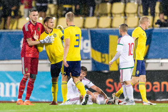 Sveriges spelare jublar